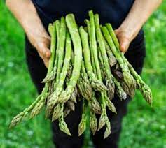 देश के किसानों की विदेशी सब्जियों की पैदावार में बढ़ी रुचि