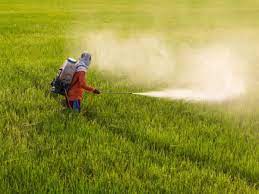 कैबिनेटः केन्द्रीय मंत्रिमंडल ने पीएम प्रणाम योजना को मंजूरी दी