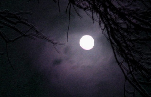 उत्तरी गोलार्द्ध के शहरों में साल की सबसे लंबी रात आज