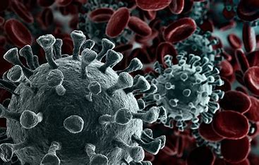 देश में पिछले 24 घंटे में कोरोना के 328 नए मरीज, एक की मौत