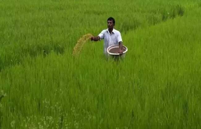 खरीफ सत्र के लिए पीएंडके उर्वरकों पर 24,420 करोड़ रुपये की सब्सिडी को मंजूरी