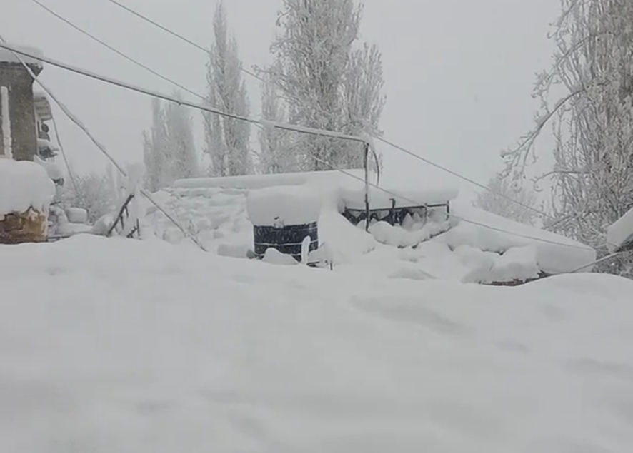 हिमाचल प्रदेश के पांच जिलों में बर्फबारी, चार एनएच समेत 350 सड़कें अवरूद्व