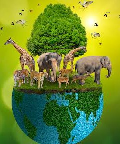 मुख्यमंत्री ने विश्व वन्य जीव दिवस पर की वन्य जीवों के संरक्षण की अपील