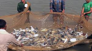 केन्द्र सरकार बुधवार को मत्स्य पालन गोलमेज सम्मेलन का करेगी आयोजन