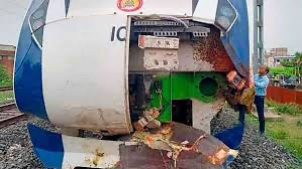 Damaged after hitting cattle, nose cone of Mumbai-Gandhinagar Vande Bharat train replaced