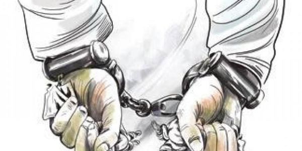 65-year-old man held for attempting to kill his 88-year-old mother