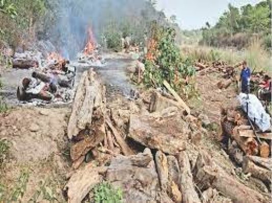 हिप्र के कांगड़ा में आठ मिनट में दो बार भूकंप से कांपी धरती