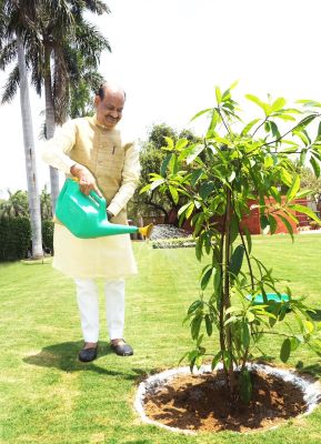 लोकसभा अध्यक्ष ने विश्व पर्यावरण दिवस पर संसद परिसर में रुद्राक्ष का पौधा लगाया