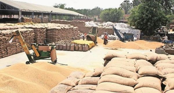 केंद्र ने राज्यों से गेहूं की उपलब्धता में पारदर्शिता लाने के लिए भंडारण की जानकारी प्राप्त करने को कहा