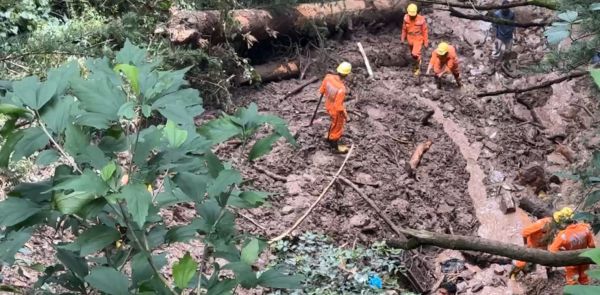 शिमला मंदिर हादसा: चौथे दिन नाले में मिला हिमाचल यूनिवर्सिटी के प्रोफेसर का शव, 10 लोग अभी भी लापता