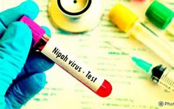 केरल में निपाह वायरस से दो लोगों की मौत, केन्द्रीय स्वास्थ्य मंत्रालय ने भेजी विशेषज्ञों की टीम