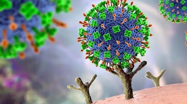 केरल में एक और निपाह संक्रमित व्यक्ति मिला, कर्नाटक ने चौकसी बढ़ाई