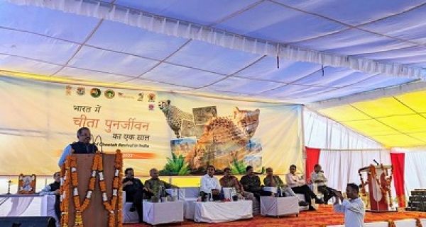 प्रोजेक्&zwj;ट-चीता के एक साल पूरा होने के उपलक्ष्&zwj;य में कुनो राष्&zwj;ट्रीय उद्यान में कार्यक्रम आयोजित किया गया