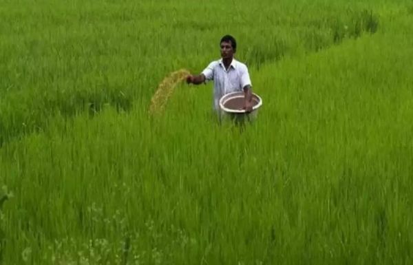 खरीफ सत्र के लिए पीएंडके उर्वरकों पर 24,420 करोड़ रुपये की सब्सिडी को मंजूरी