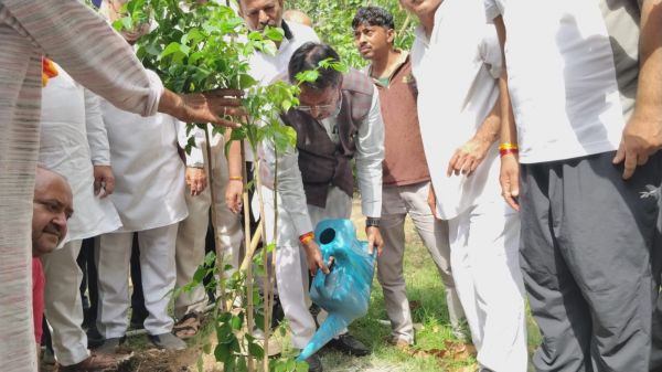 विश्व पर्यावरण दिवस पर भाजपा ने 256 मंडलों में आयोजित किए एक पेड़ मां के नाम कार्यक्रम
