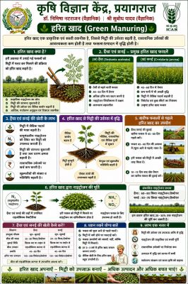 हरित खाद के प्रयोग से मिट्टी की बढ़ेगी उर्वरक क्षमता :डॉ. निमिषा नटराजन
