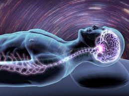 Which came first, sleep or the brain?