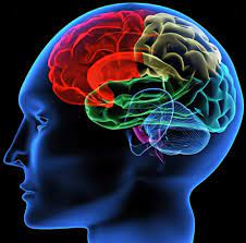 विज्ञान के ये 5 टिप्स आपकी याददाश्त को बनाएंगे बेहतर