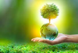  वैश्विक तापमान जीवन पर क्या असर डालता है