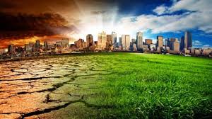 जलवायु परिवर्तन के कारण समंदर हरे हो रहे हैं