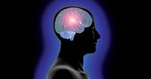 भाषाएं मस्तिष्क में  है कुछ विशिष्ट स्थान