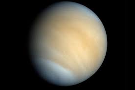 जीवन की संभावना में शुक्र भी शामिल