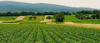 कृषि मे केंचुओं का अद्भुत योगदान 