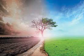 लक्ष्य तक नहीं पहुंच पाते हैं जलवायु सम्मेलन