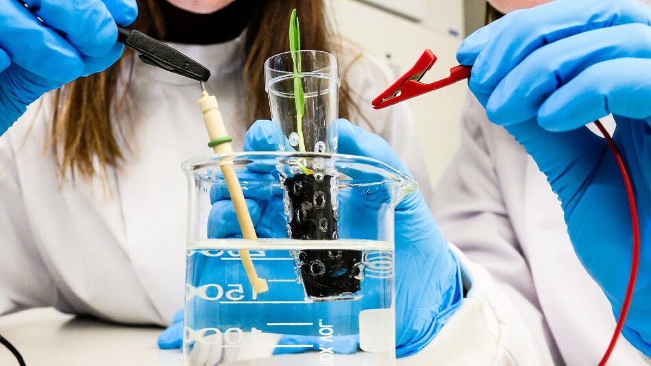 What is Electronic Soil : वैज्ञानिकों ने बनाई &lsquo;इलेक्&zwj;ट्रॉनिक मिट्टी&rsquo;, क्&zwj;या है यह? हमें क्&zwj;या फायदा होगा?