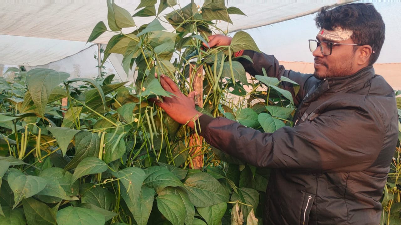 विदेशी कंपनी का लाखों का पैकेज छोड़कर झारखंड के चतरा में वैदिक खेती कर रहा सॉफ्टवेयर इंजीनियर, लोगों को दे रहा रोजगार