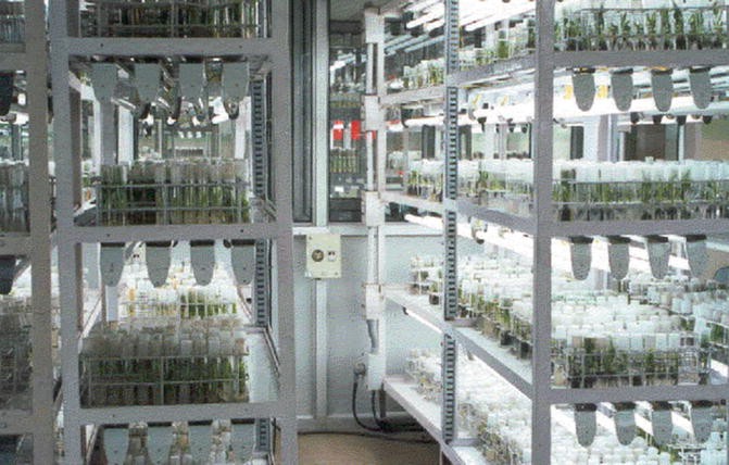 लुप्तप्राय पौधों की प्रजातियों के संरक्षण हेतु क्रायोजेनिक सुविधा की स्थापना के लिए मंजूरी प्रदान की - तमिलनाडु सरकार