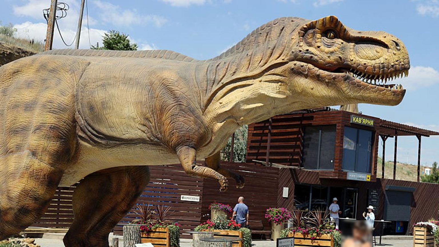 अध्ययन से पता चला है कि टायरानोसॉरस रेक्स 40 वर्ष की आयु तक अपने पूर्ण आकार तक नहीं पहुंचा था।