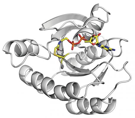 Where Are the Good Inhibitors?