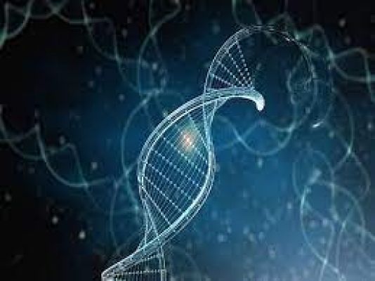 Large-scale DNA study reveals genetic links to height