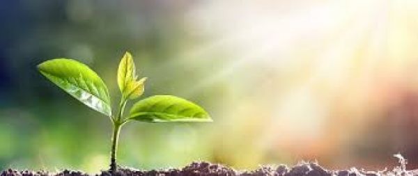 Back to the future of photosynthesis