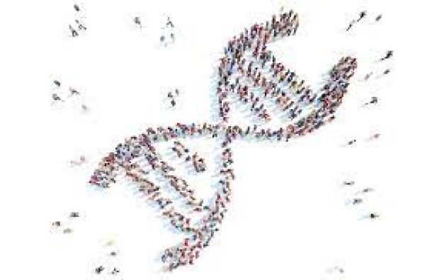  मानव जेनेटिक्स विज्ञान सभा का माफीनामा