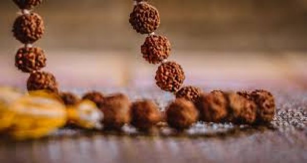  रुद्राक्ष के चमत्कार: क्या कहता है विज्ञान?