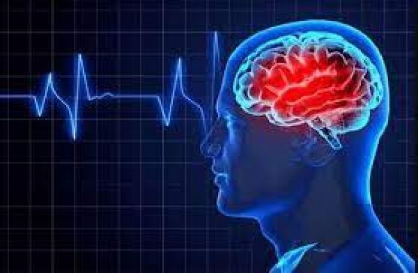  मस्तिष्क में मातृभाषा की खास हैसियत है