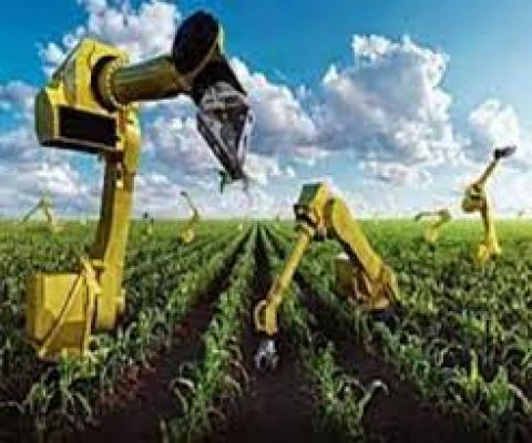 तकनीक ने खेती के स्वरूप को बदल दिया