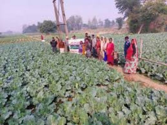 खेती-किसानी में विज्ञान