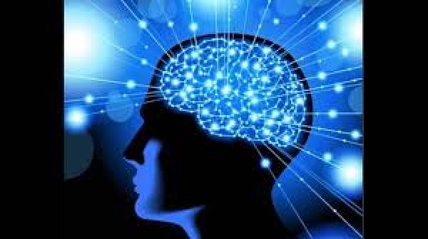 मस्तिष्क का भाषा-सम्बंधी क्षेत्र