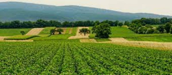 कृषि मे केंचुओं का अद्भुत योगदान 