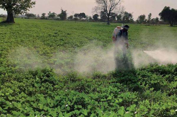 वायरल नैनोकण: किसानों के लिए सतत कीट प्रबंधन में एक नई सीमा