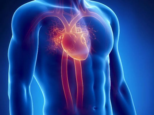 हार्ट अटैक अलर्ट: कैसे एक मानक रक्त परीक्षण आपकी जान बचा सकता है