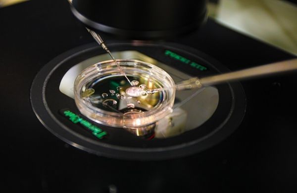 शोध: त्वचा की कोशिकाओं से होगी संतान की उत्पत्ति, संतान की कामना करने वालों के लिए नई उम्मीद