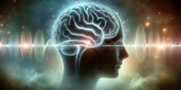 ज़्यादा व्यायाम हमेशा बेहतर नहीं होता: नए अध्ययन से युवा मस्तिष्क का आश्चर्यजनक रहस्य उजागर हुआ