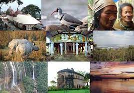 प्राकृतिक खजाने से समृद्ध पूर्वोत्तर