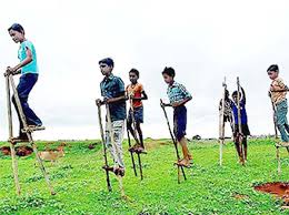 जनकपुरी से जुड़ा है हरेली का तिहार