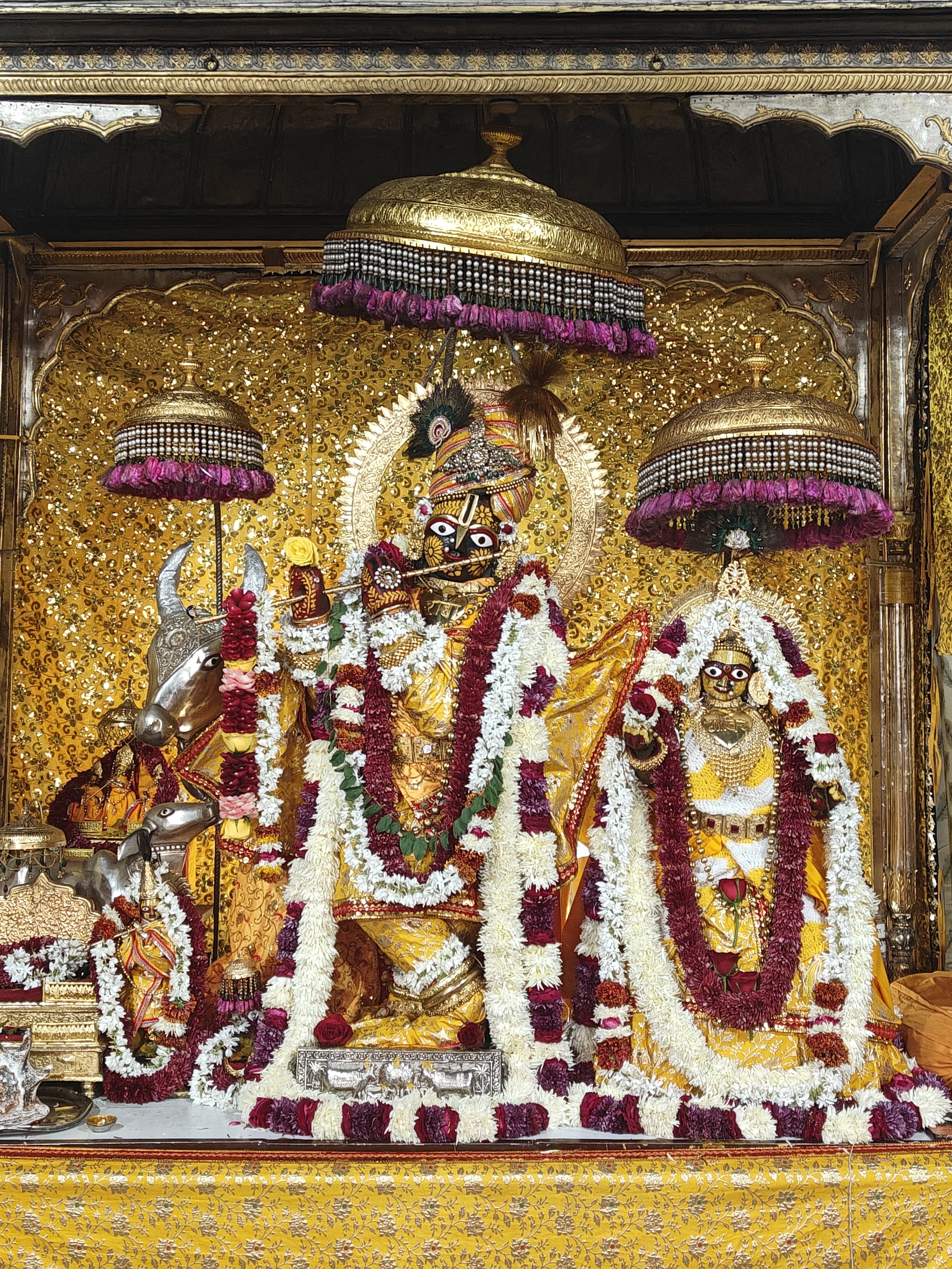  गोविंद देवजी मंदिर में माघ महोत्सव रविवार को