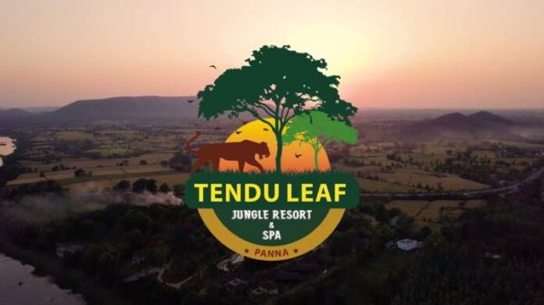 जंगल के बीच एक परफेक्ट हॉलिडे